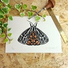 Moth,Insect, Lino print a5, copper and Black on handmade paper