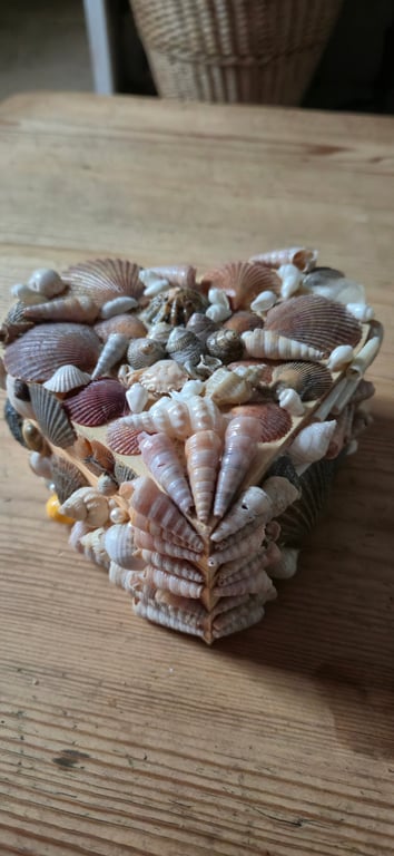 Heart shaped large shell box