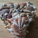 Heart shaped large shell box