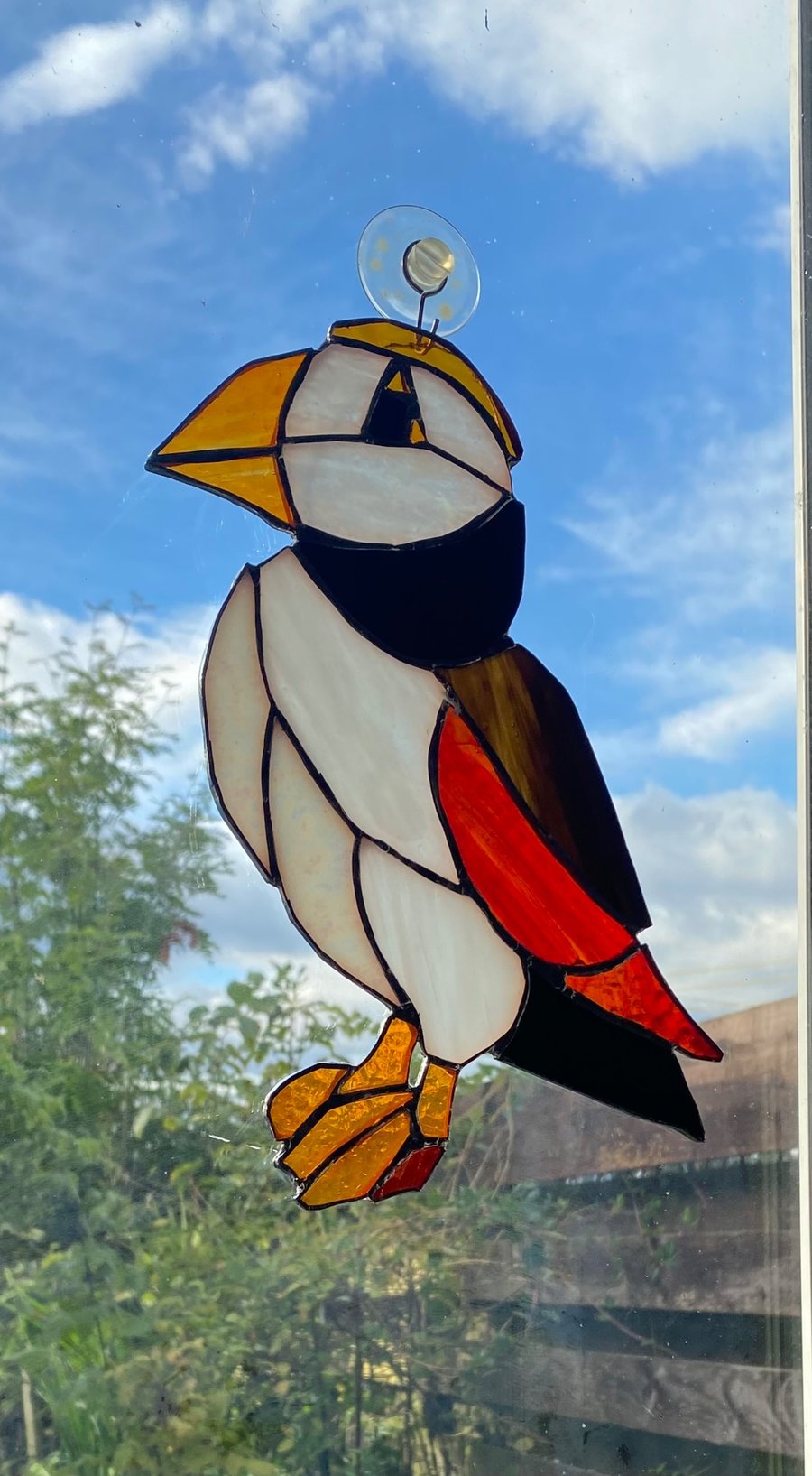 Image of Puffin 