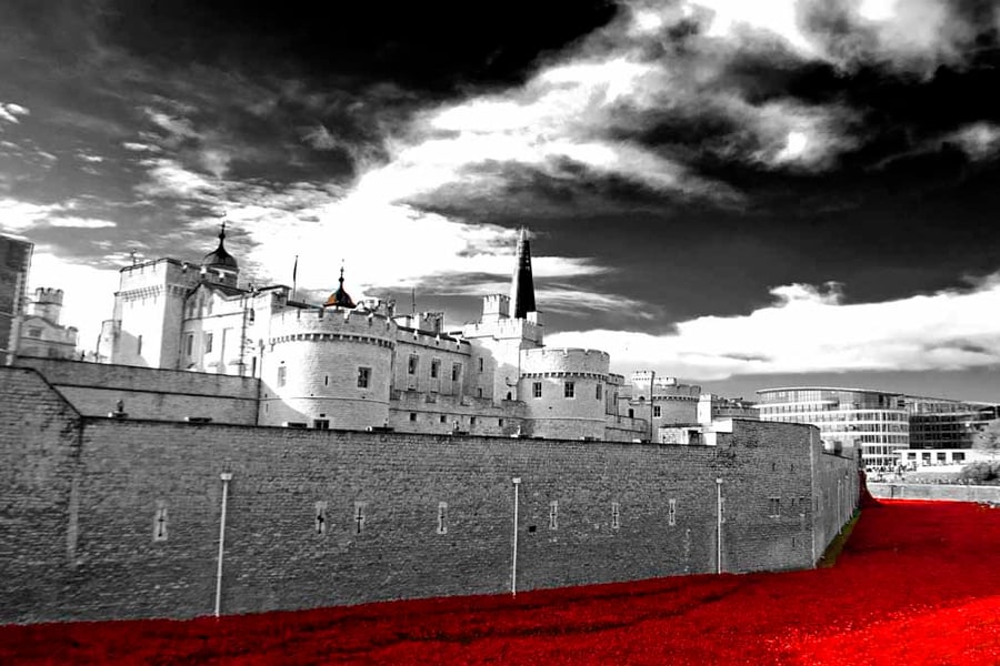 Tower of London Red Poppies England UK Photograph Print