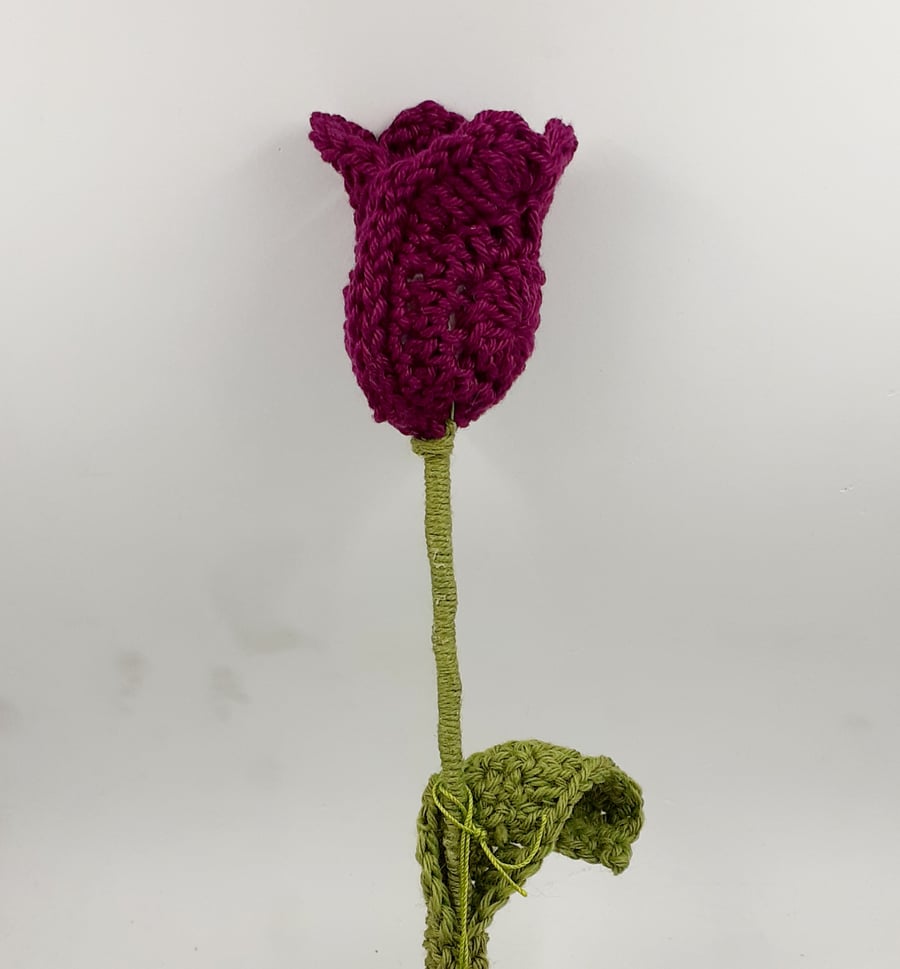  Deep Purple Crochet Tulip 