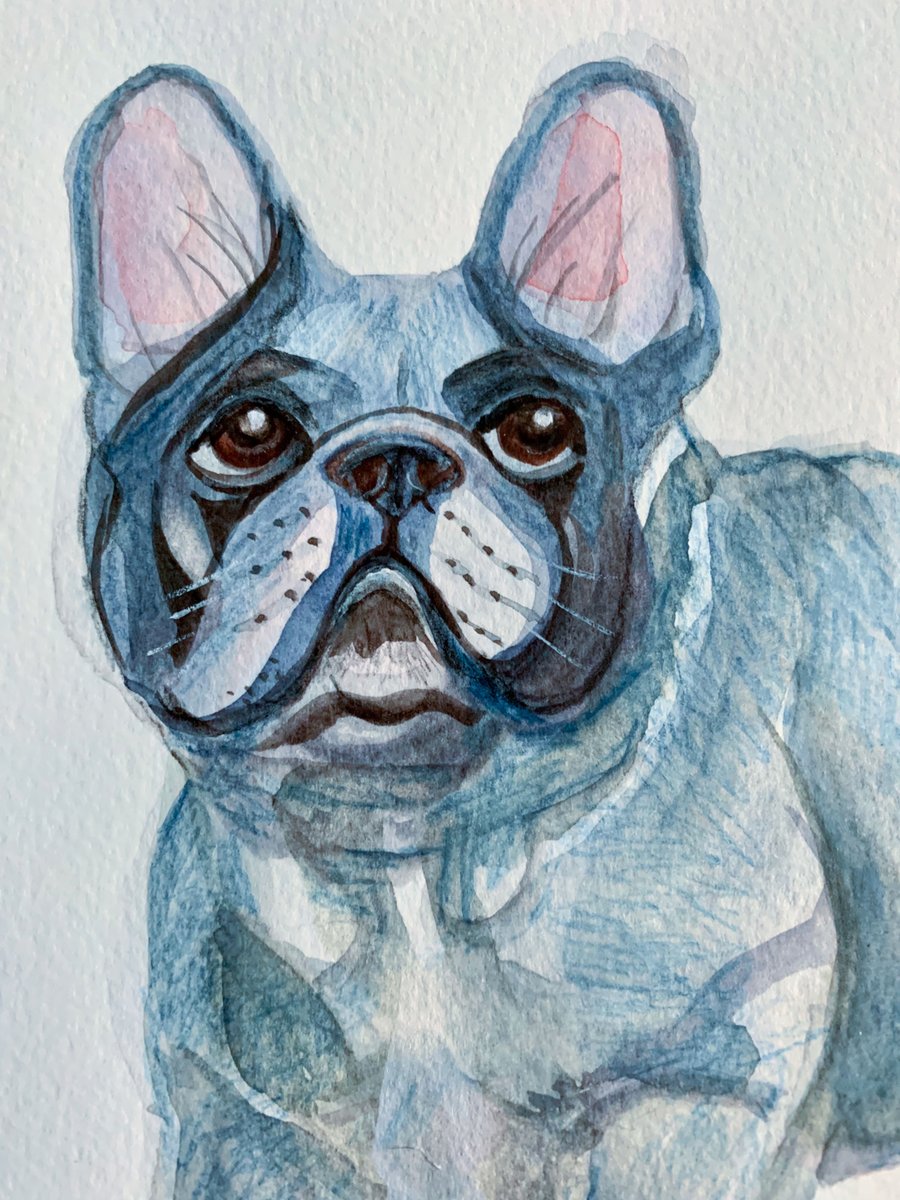 French bulldog (original painting)