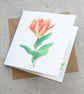 Blank Card Tulip Orange Emperor Floral Card - Image 4