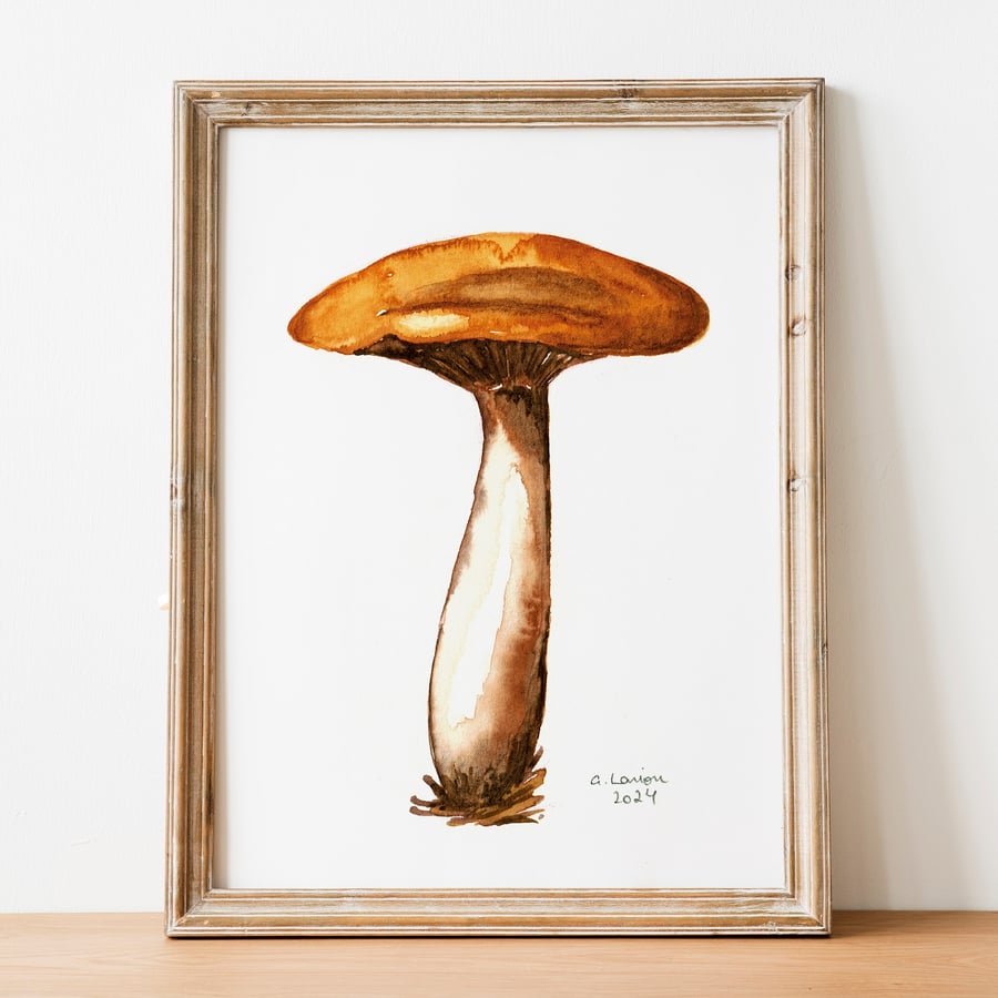 Wood Blewit A5 Inkjet Print