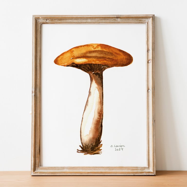 Wood Blewit A5 Inkjet Print