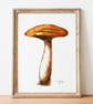 Wood Blewit A5 Inkjet Print - Image 1