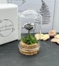 Handmade Sterling Silver Rose Miniature Bell Jar - Image 3