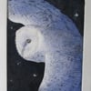 Beautiful barn owl limited edition etching 'Homeward Bound'