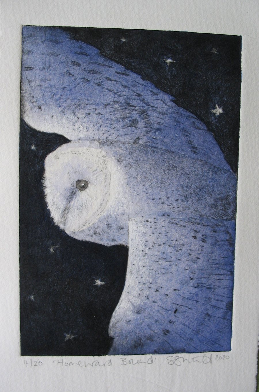 Beautiful barn owl limited edition etching 'Homeward Bound'