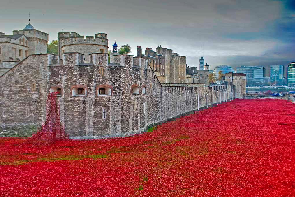 Tower Of London Poppies Red Poppy Photograph Print