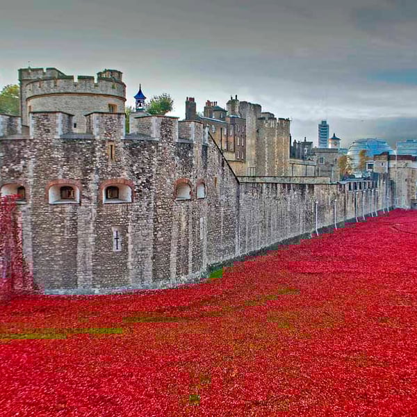 Tower Of London Poppies Red Poppy Photograph Print