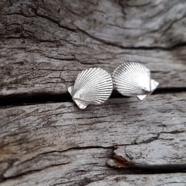 Scallop Stud Earrings medium