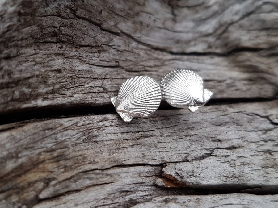 Scallop Stud Earrings medium
