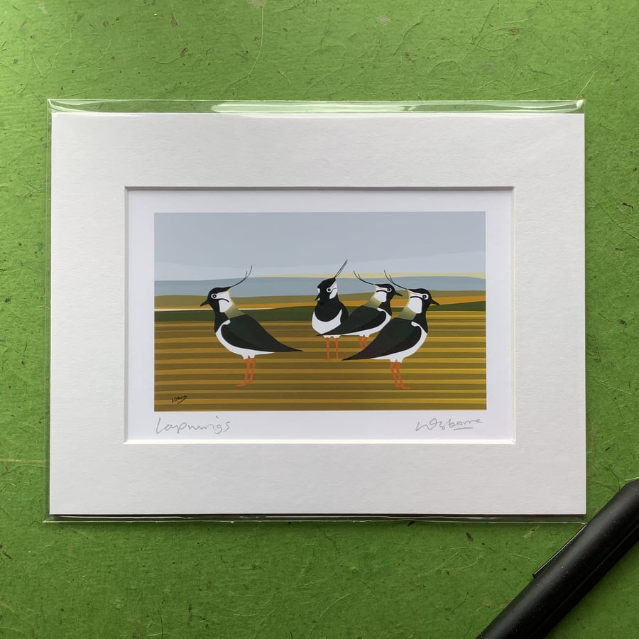 Lapwings - print from illustration with mount.