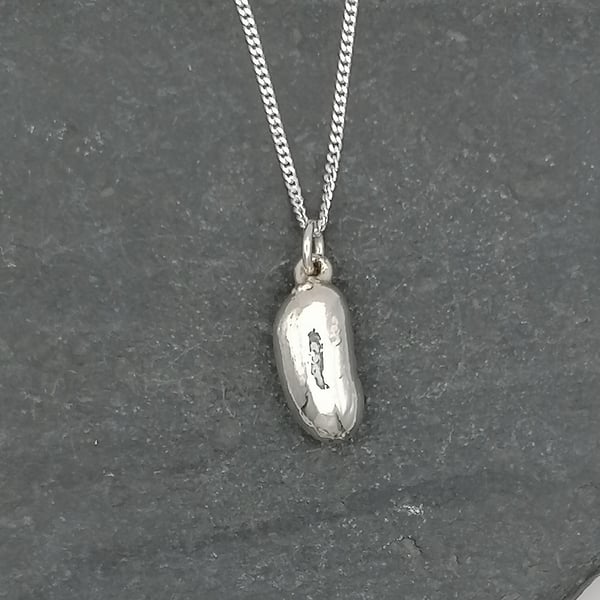 Real bean preserved in silver pendant necklace