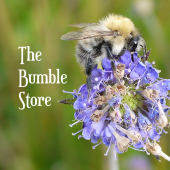 The Bumble Store