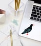 Cornish Chough Sticker - Cornwall Stickers  - Image 4