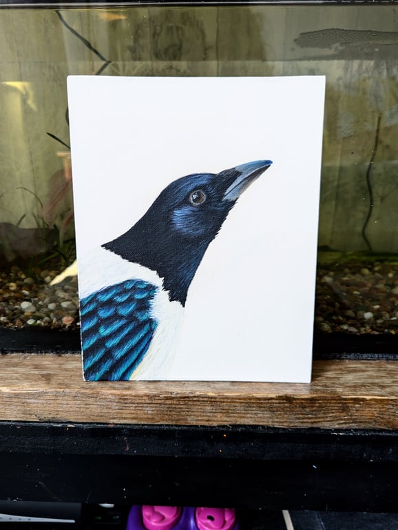 Eurasian Magpie Portrait Painting 