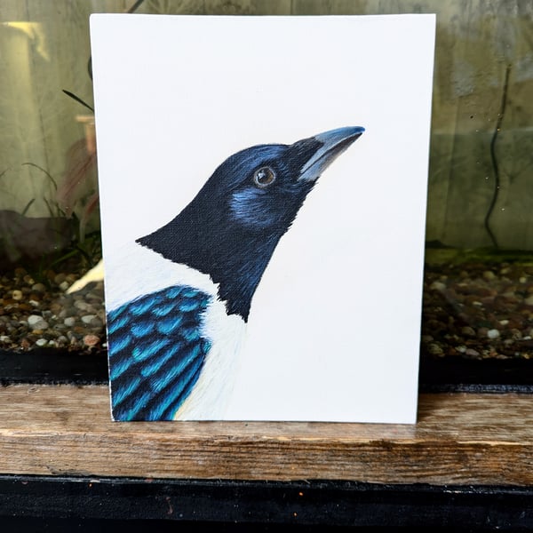 Eurasian Magpie Portrait Painting 