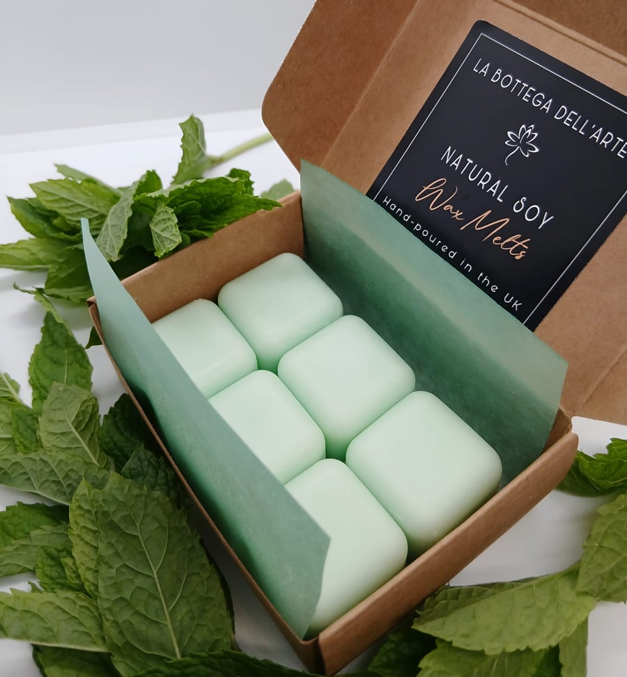 Wild Mint Scented Soy Wax Melts Gift Box Vegan Friendly Handcrafted