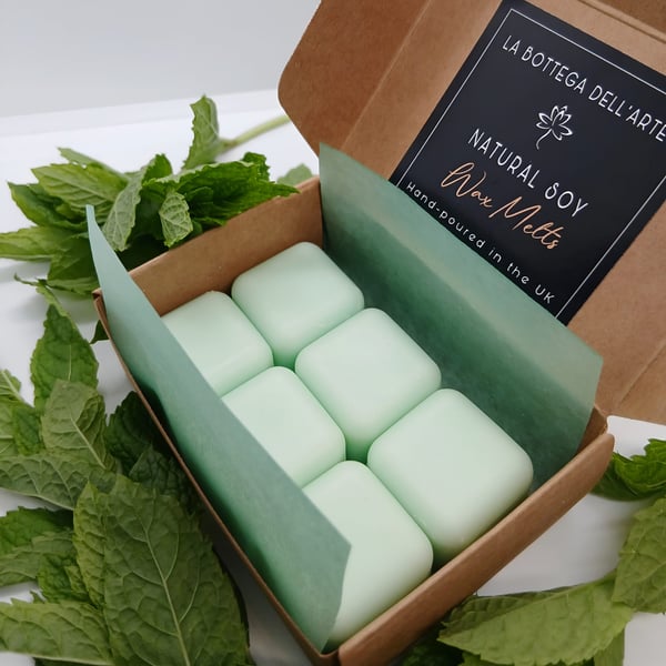 Wild Mint Scented Soy Wax Melts Gift Box Vegan Friendly Handcrafted