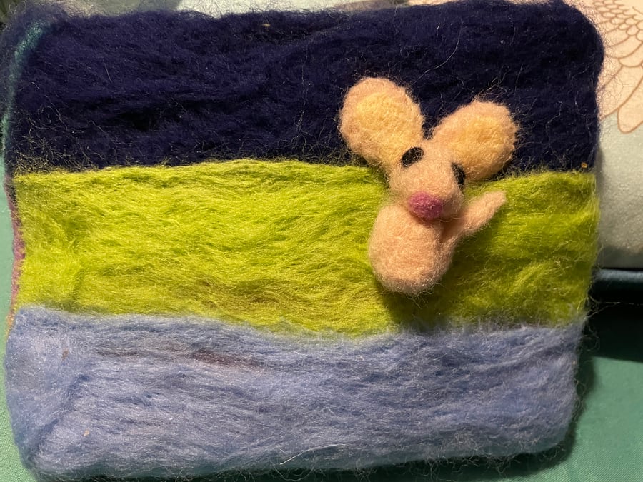 Purse - Bright Colour