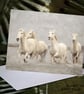 Exclusive Camargue Horses Greetings Card