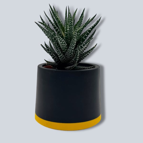 Small Yellow and Black Plant Pot - 7.5 cm Two Tone Mini Succulent Pot