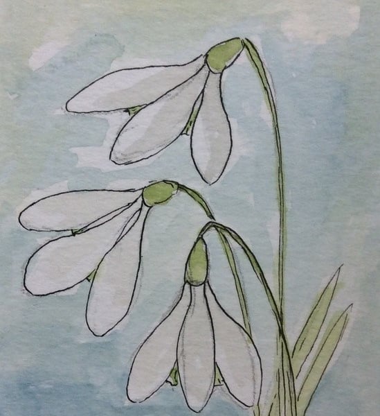 Snowdrops. Original watercolour, pen and ink. Minature. Flowers