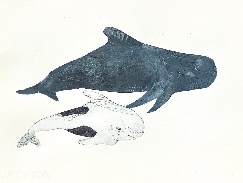 Whale and Calf