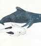 Whale and Calf