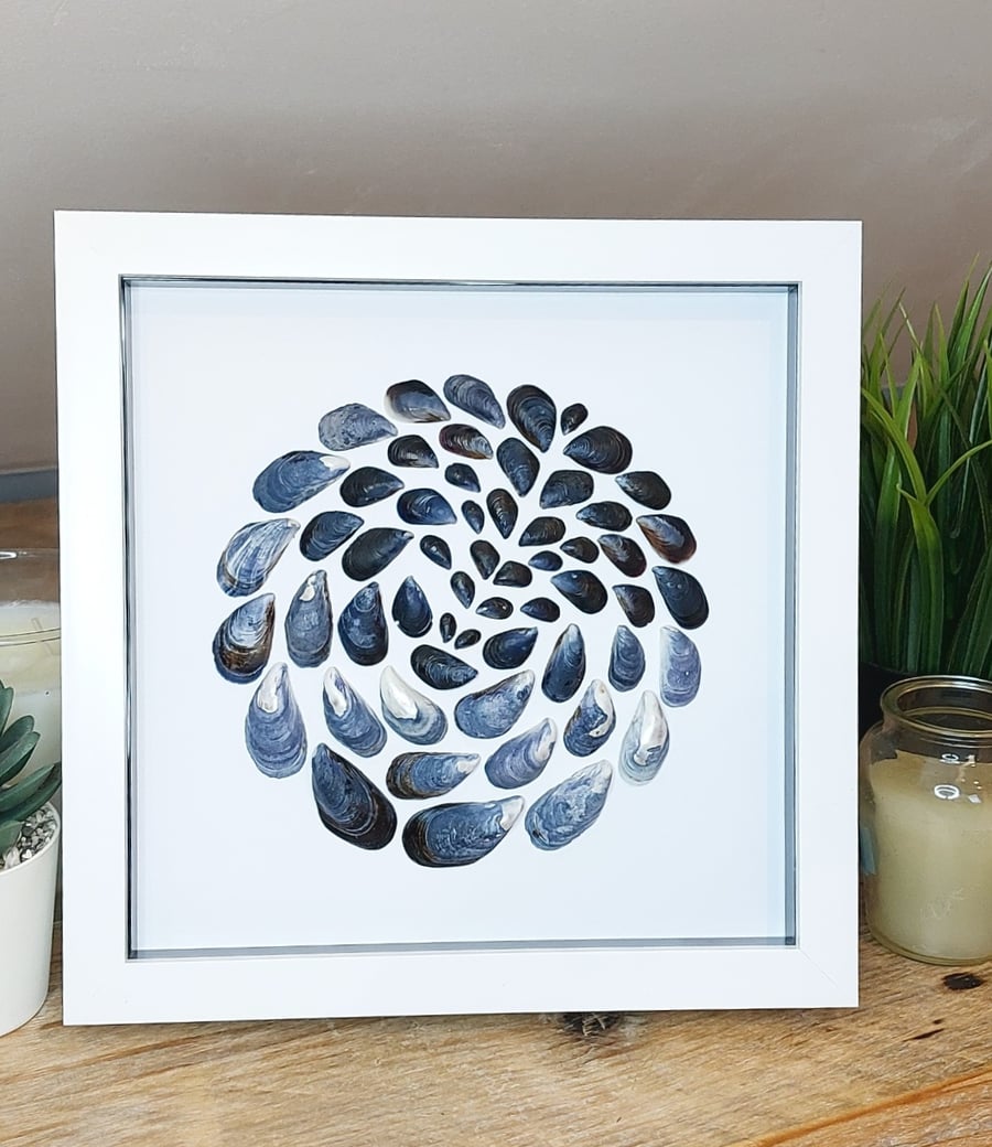 Cornish beachcombing circular mussel shell framed artwork 