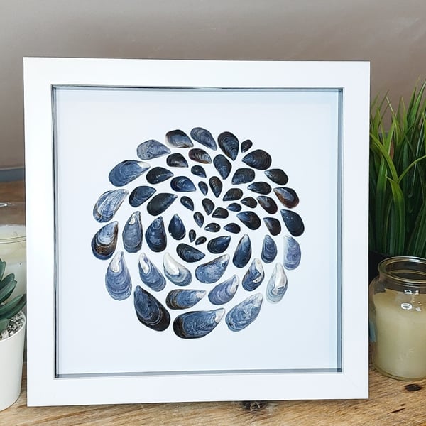 Cornish beachcombing circular mussel shell framed artwork 