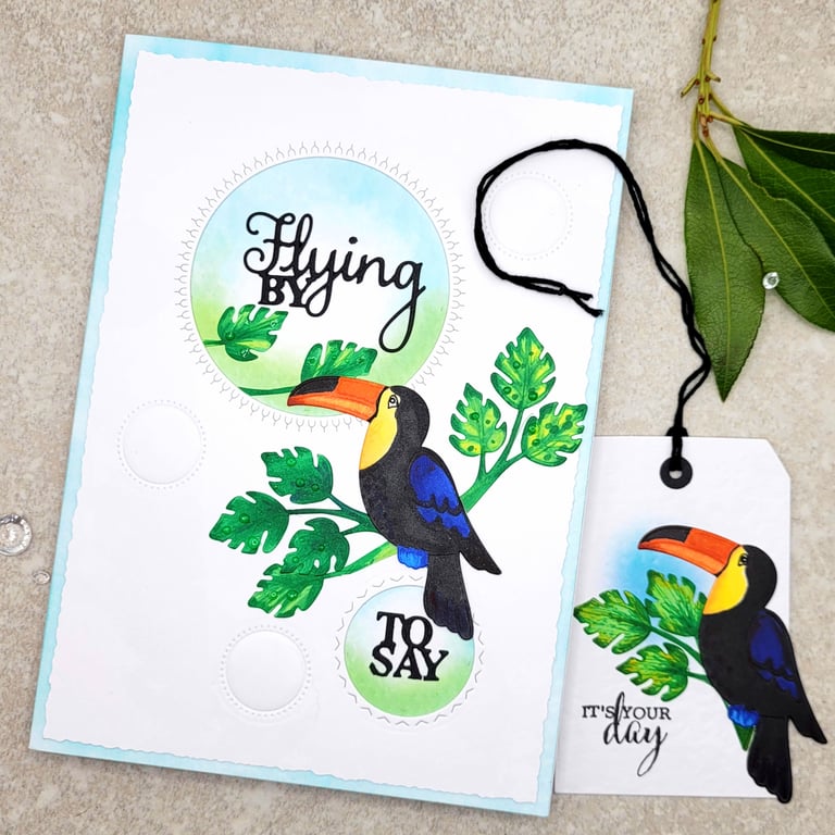 Fathers Day Card - toucan cards, gift tag option
