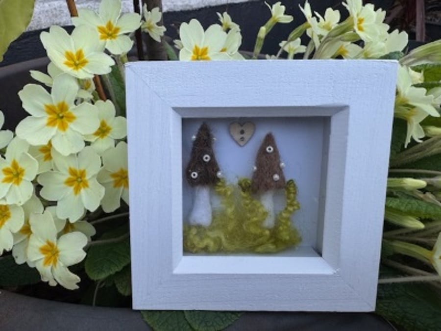 Picture Framed Toadstools