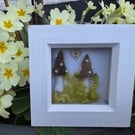 Picture Framed Toadstools