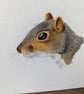 Grey Squirrel Portrait Painting  - Image 2