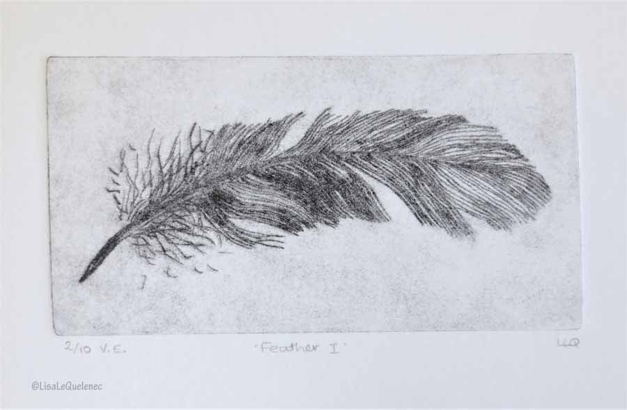 Drypoint original print feather I no.2 in a limited edition of 10