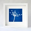 SALE Seed head Cyanotype, blue and white image in large square white box frame