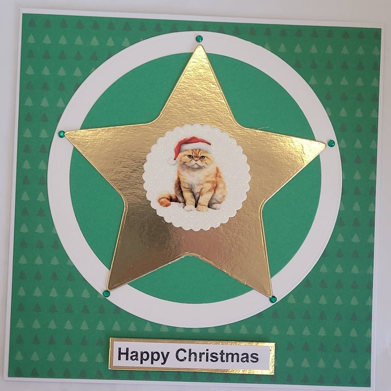 Xmas Star Persian Cat Christmas Card green