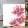 Beautiful  Poppy greeting card 