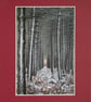 CJ100 - Winter woodland cathedral - Image 3