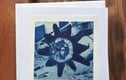 Cyanotype - Original Photography Prints Collection 