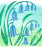 An original handprinted linoprint of Bluebells - Image 3