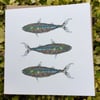 Coastal Britain Three Mackerel Blank Card