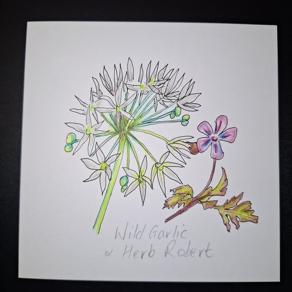 Original Handpainted Greetings Card-Wild Garlic & Herb Robert
