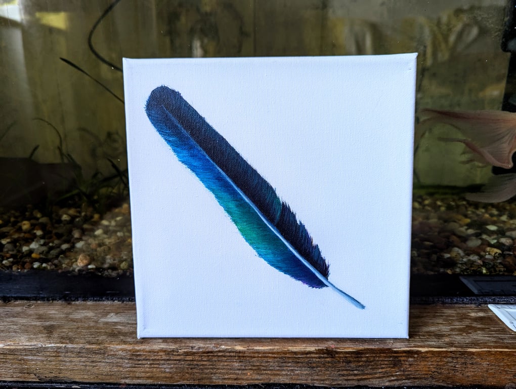 Magpie Feather Painting 