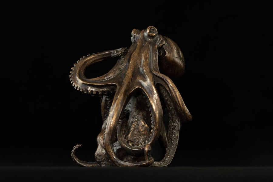 Foundry Bronze Octopus on Rock Animal Statue Bronze metal Sculpture