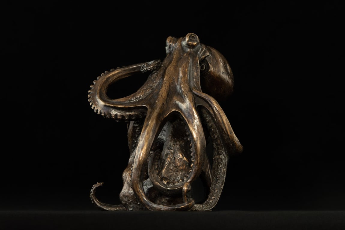 Foundry Bronze Octopus on Rock Animal Statue Bronze metal Sculpture